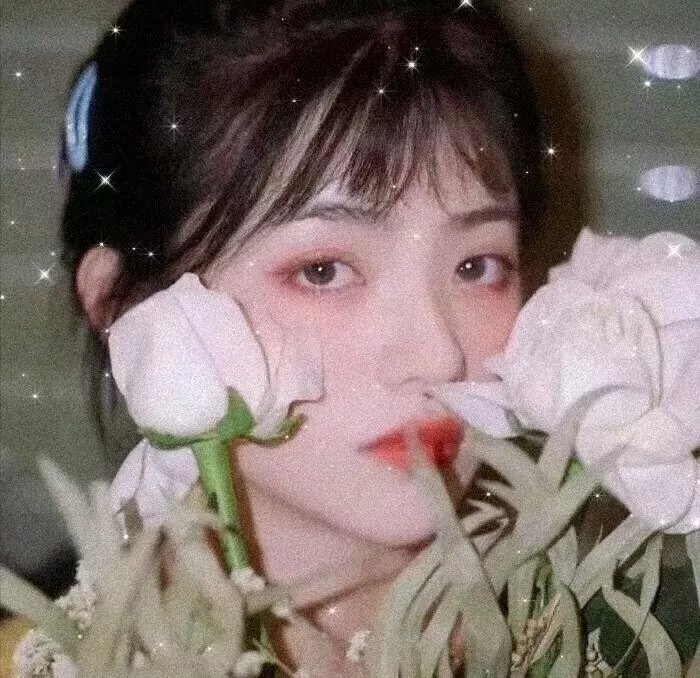 玫瑰楼迷影